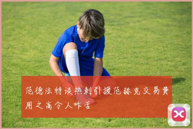 范德法特谈热刺引援范赫克交易费用之高令人咋舌