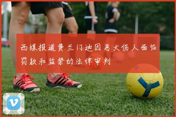 西媒报道费兰门迪因恶犬伤人面临罚款和监禁的法律审判