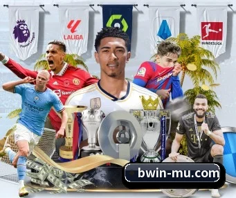 bwin必赢 APP（bwinsports）
